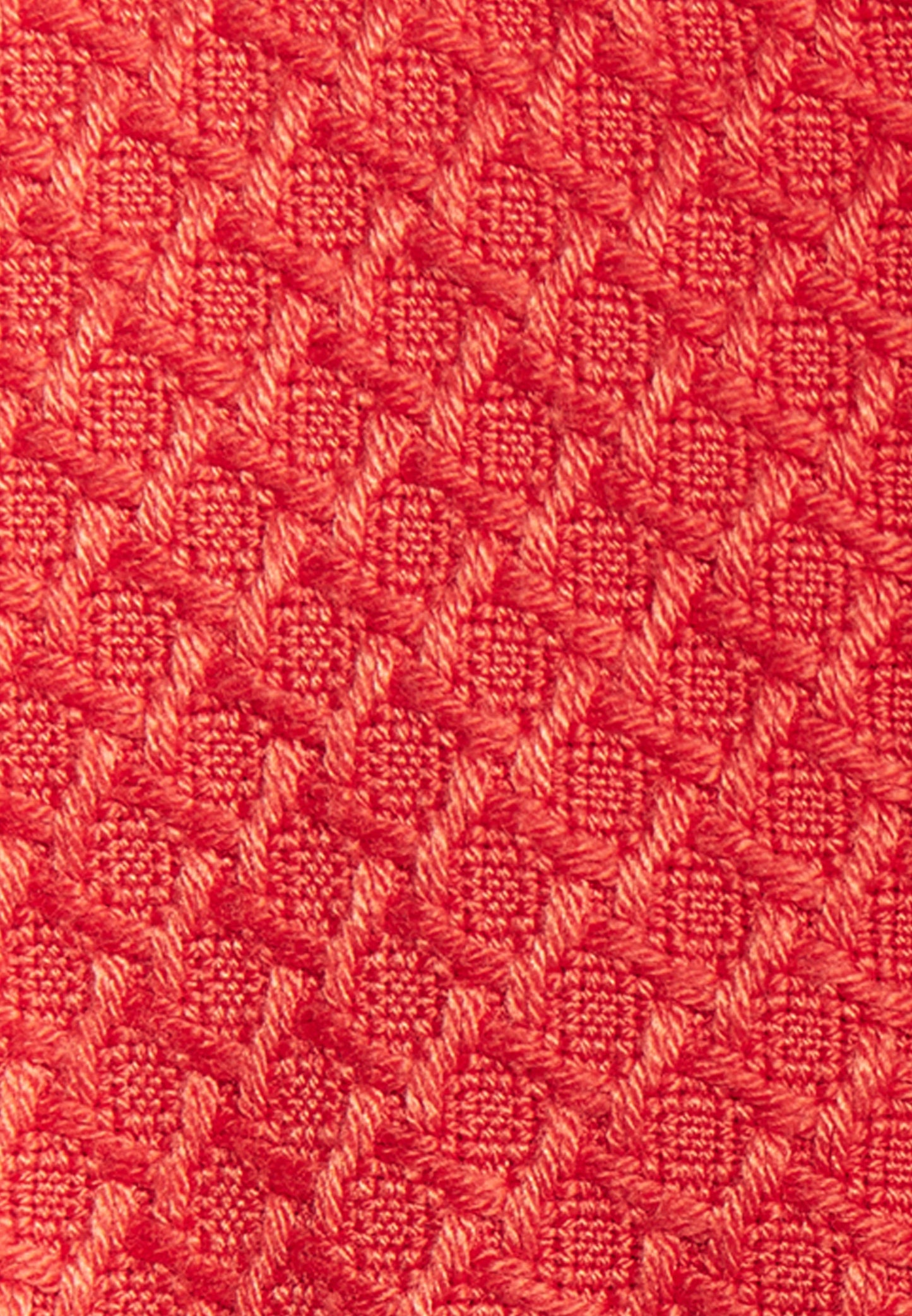 Faina Women's Shorts