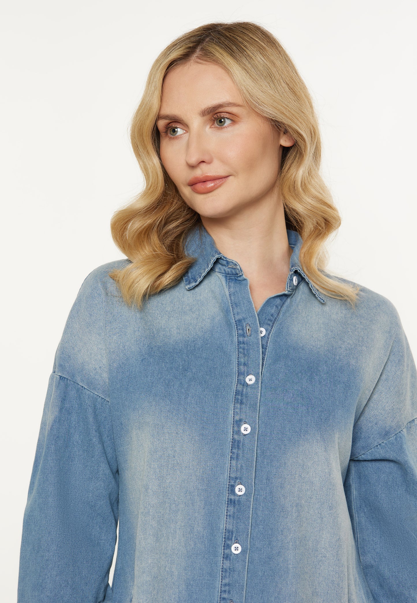 usha BLUE LABEL Women's Dress