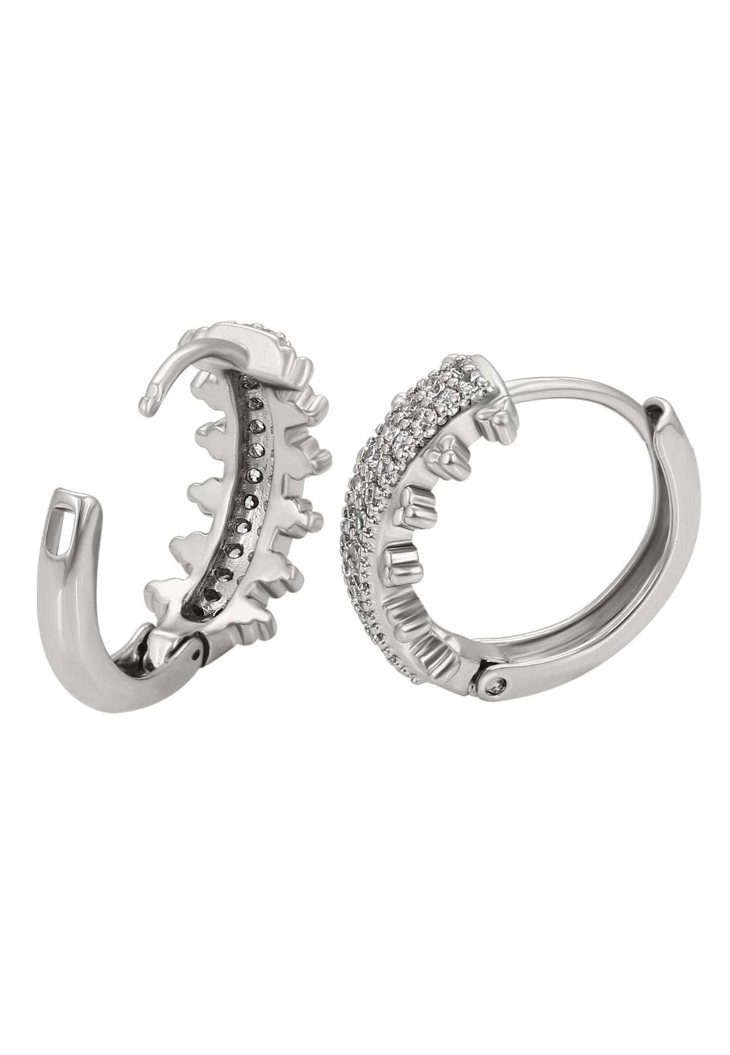 faina Women's Earrings