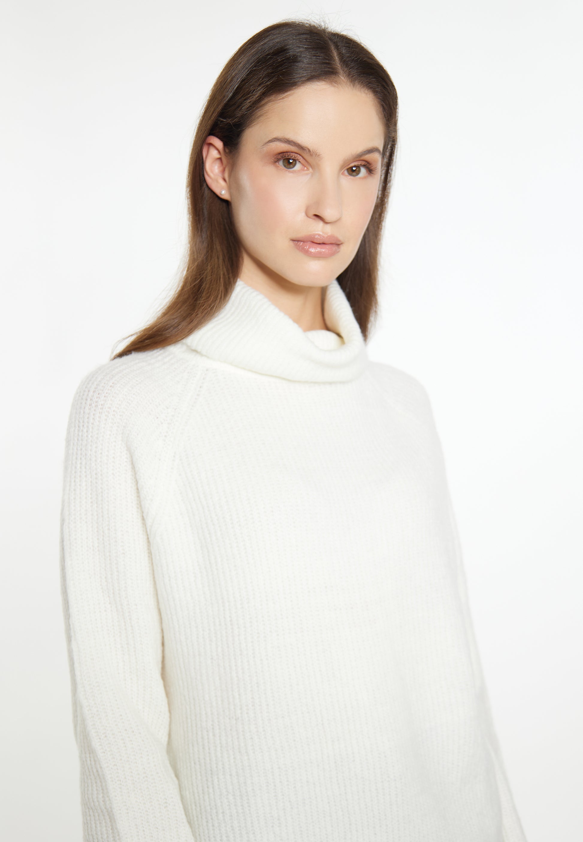 usha WHITE LABEL Women's Knitted Sweater