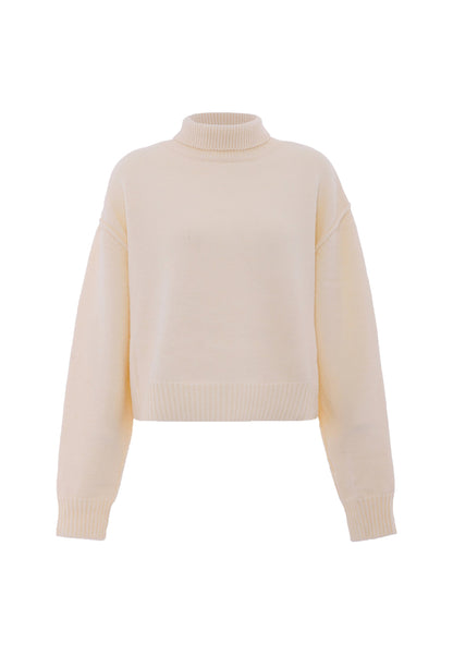Aleva Women's Sweaters