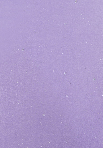 Faina Women's Velvet Skirt With Glitter