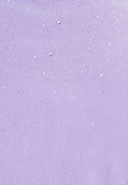 Faina Women's Velvet Shirt With Glitter