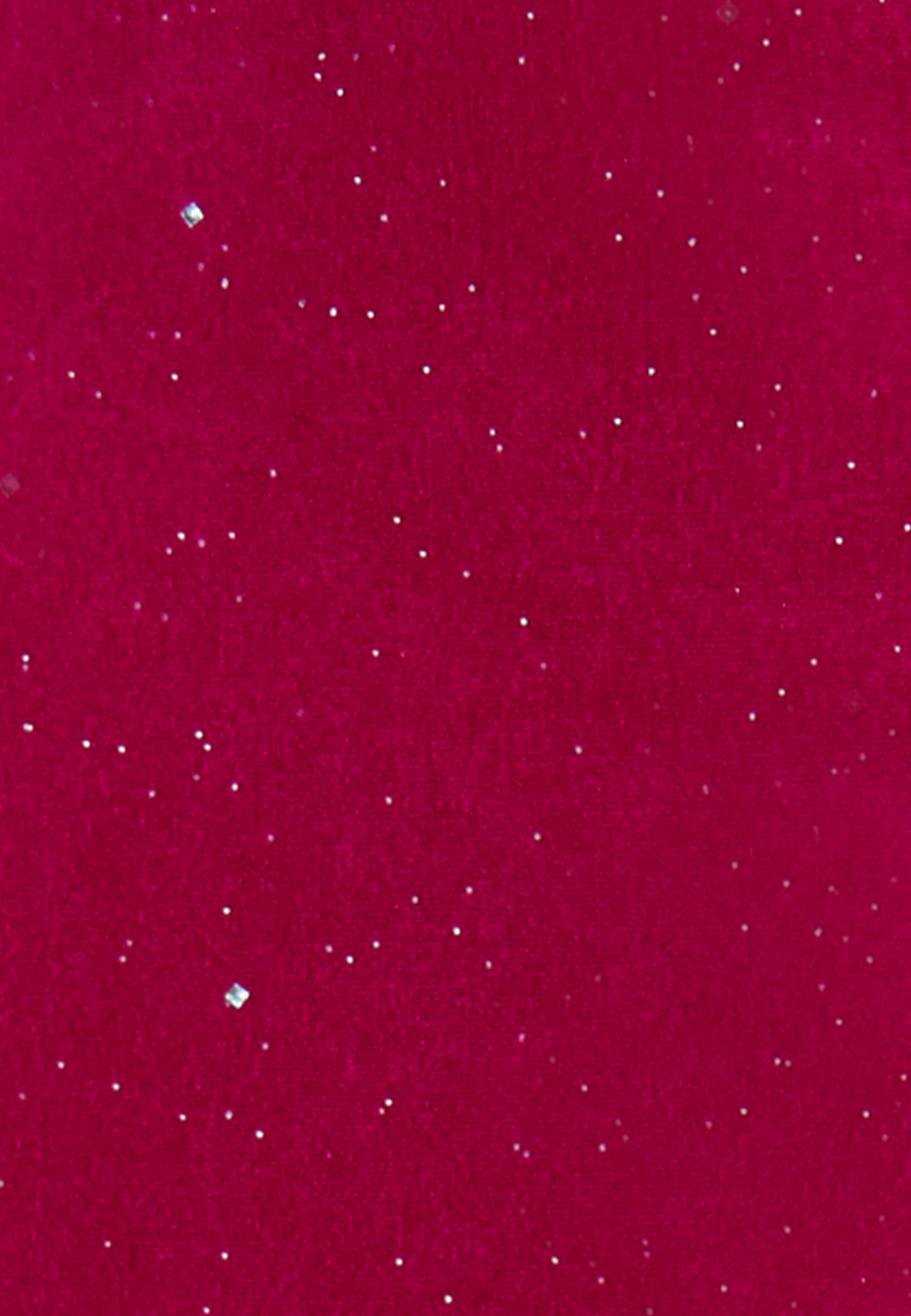 Faina Women's Velvet Skirt With Glitter