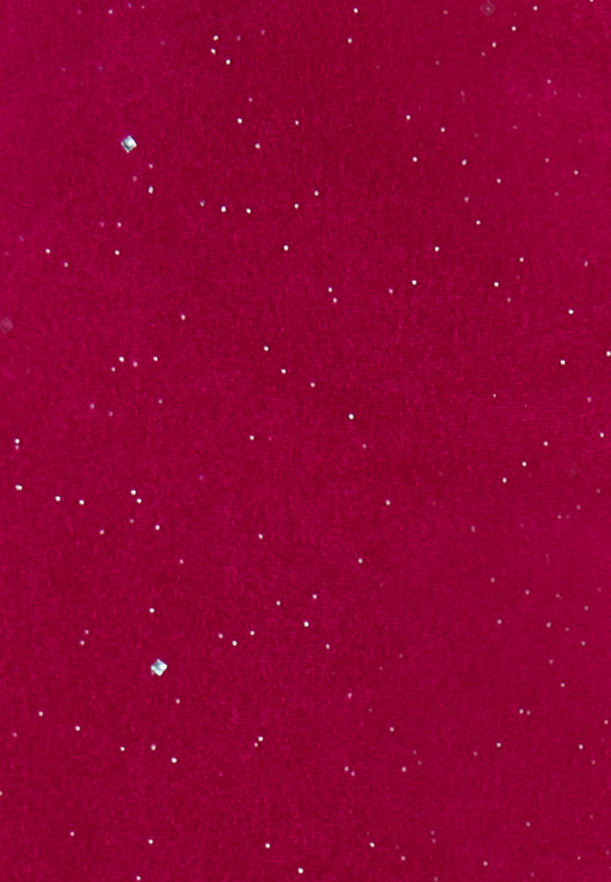 Faina Women's Velvet Skirt With Glitter