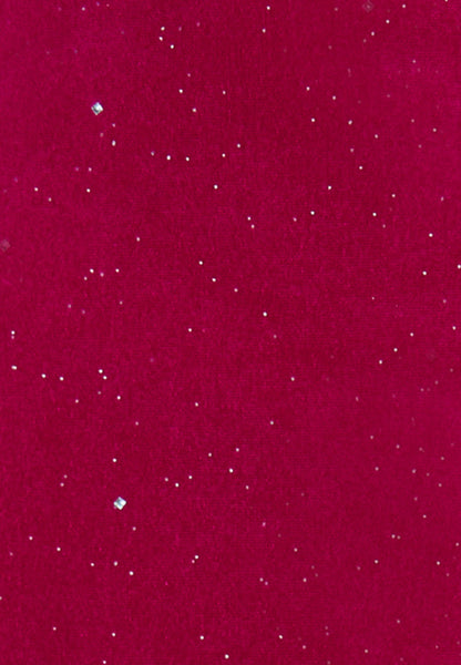 Faina Women's Velvet Skirt With Glitter