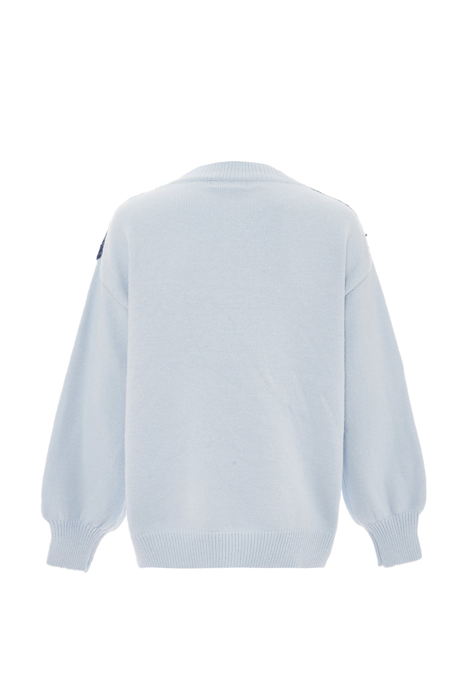 Sanika Women's Knitted Sweater