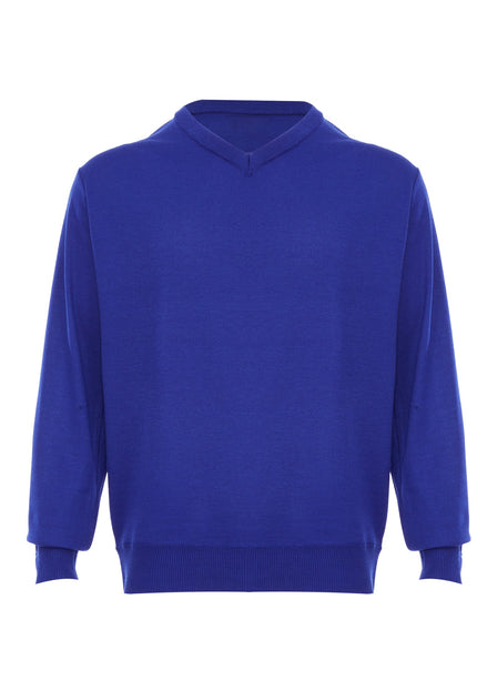 Rovic Men's Sweater