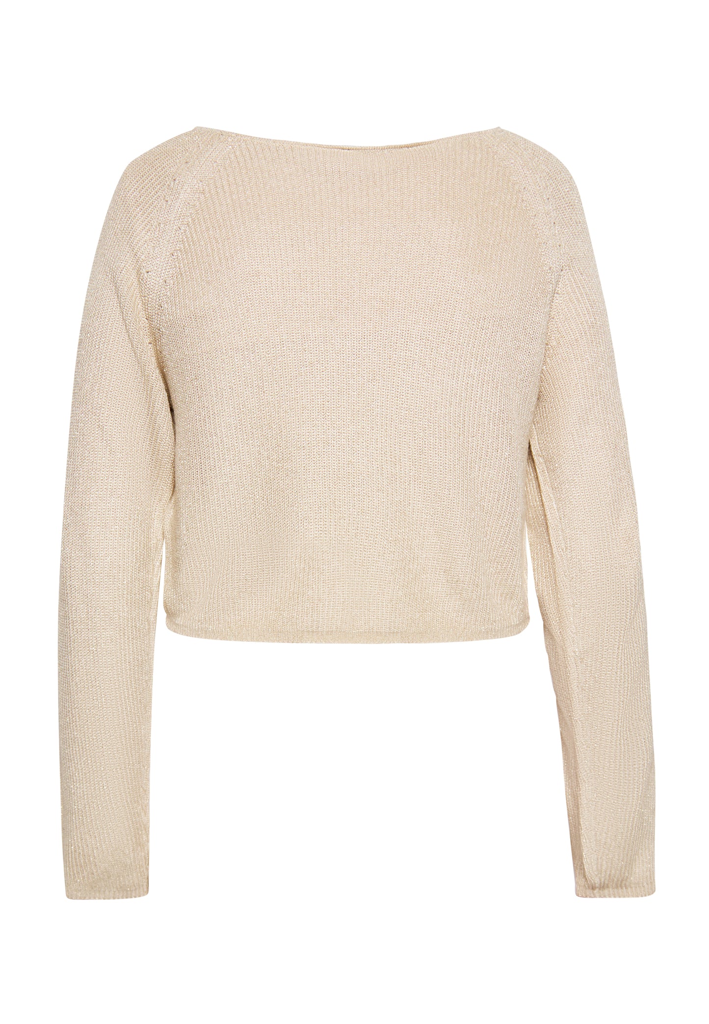 NAEMI Women's Sweater