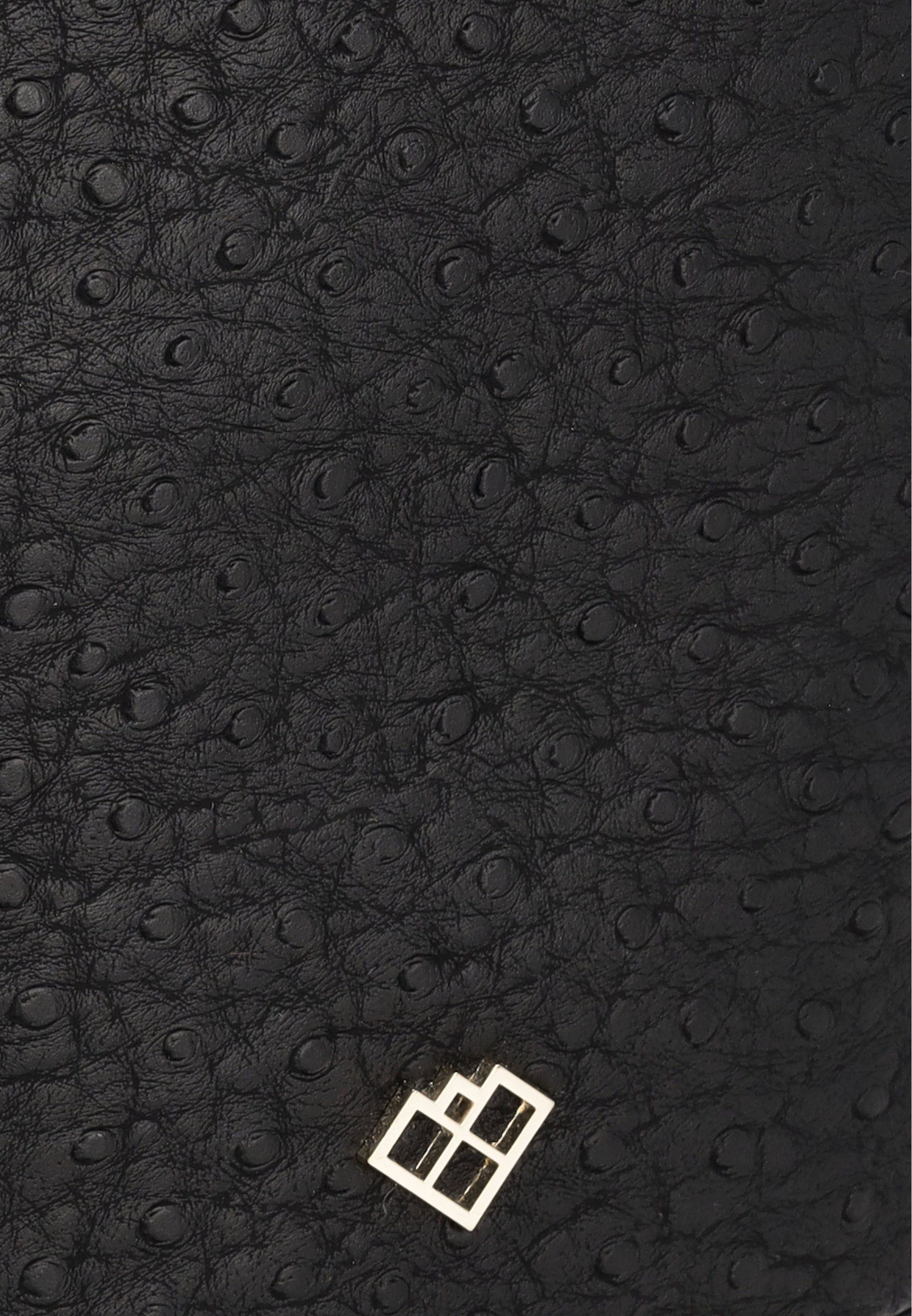 Usha Women's Handbag