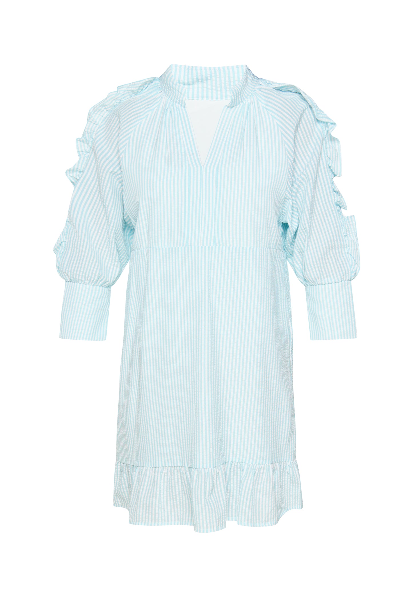 usha BLUE LABEL Women's Dress