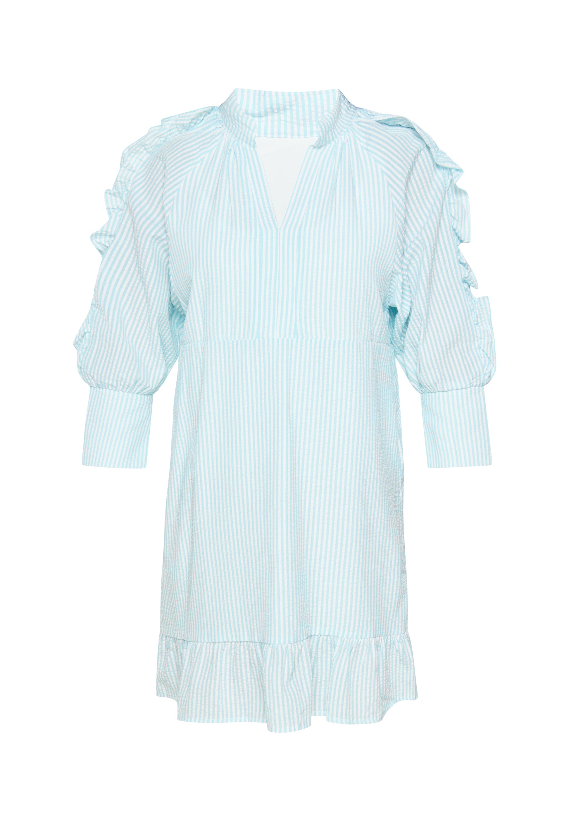 usha BLUE LABEL Women's Dress
