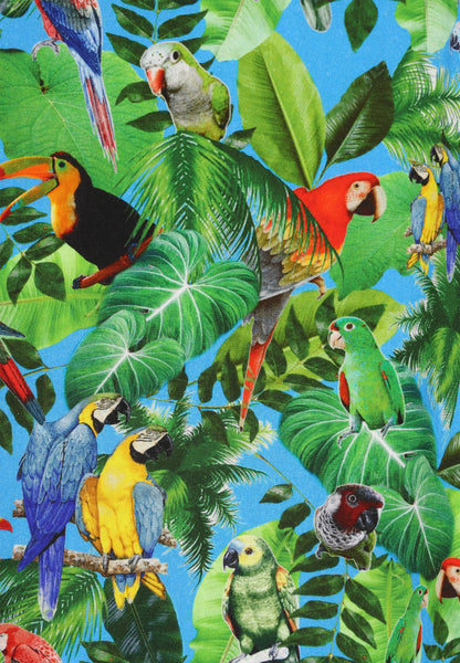 Sukienka Kobiety SWIRLY