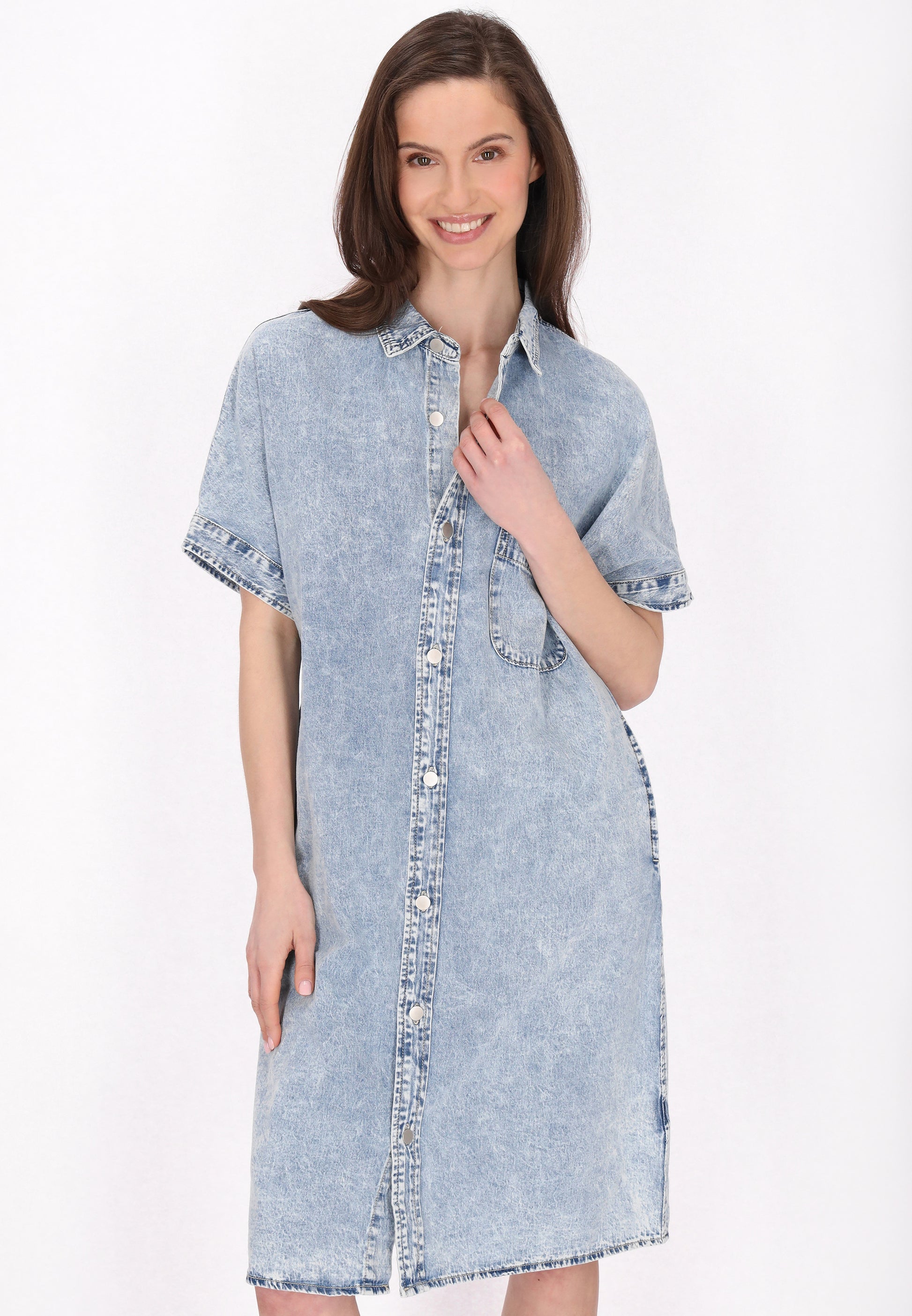 usha BLUE LABEL Women's Dress