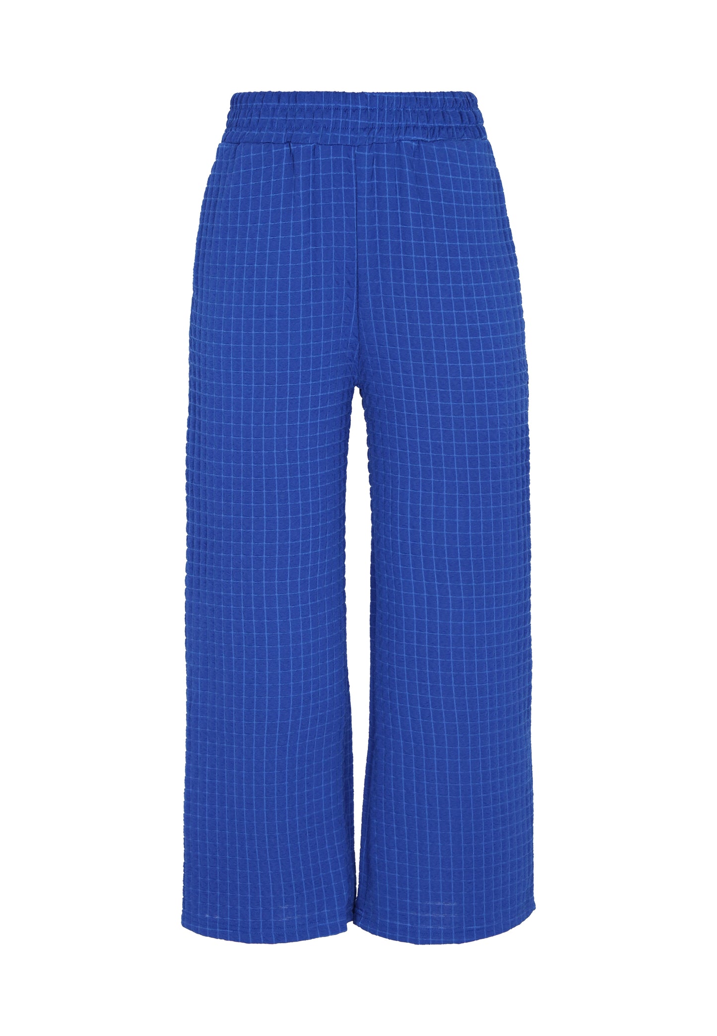 usha BLUE LABEL Women's Pants