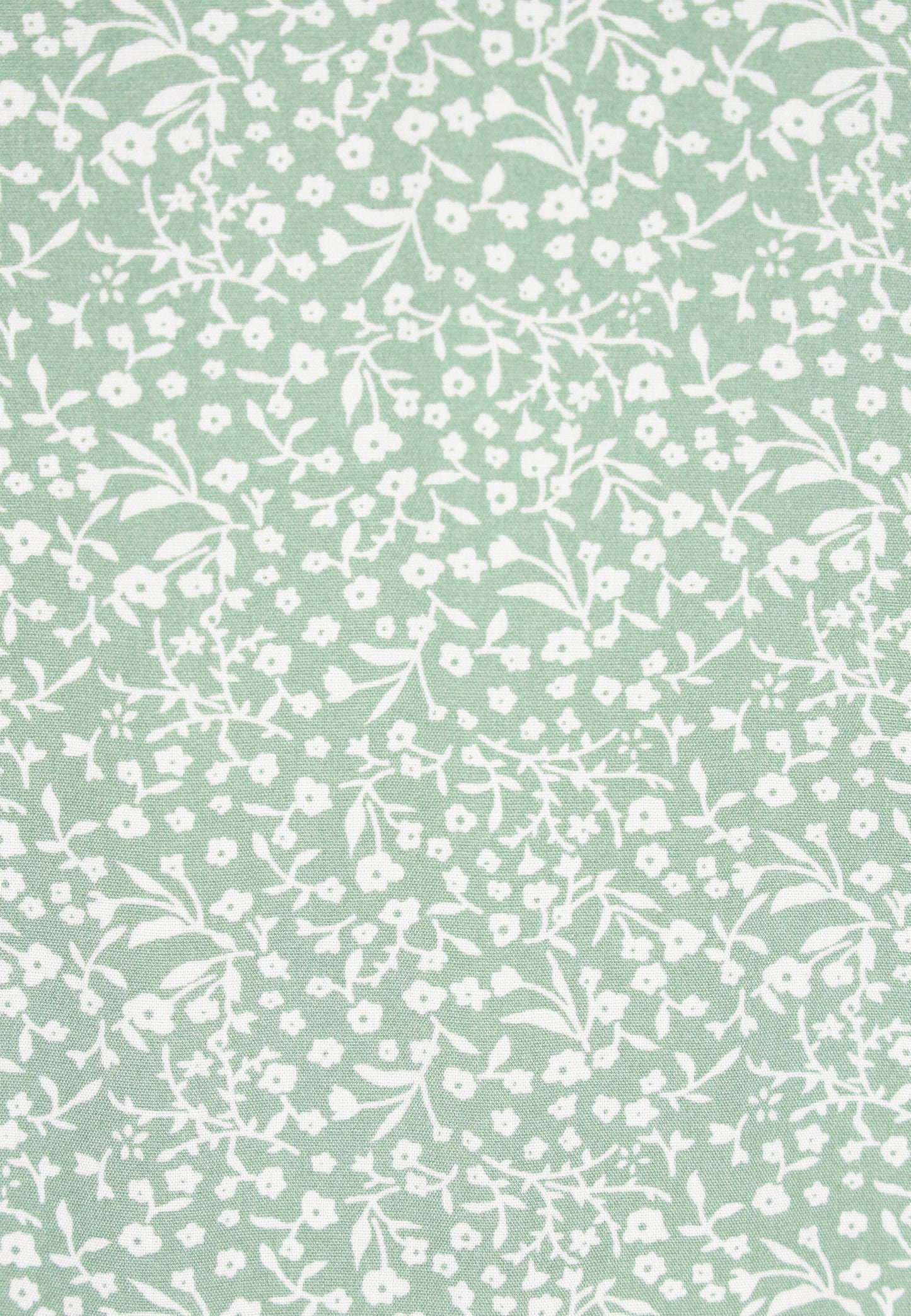 Bluzka CELOCIA dla Kobiety