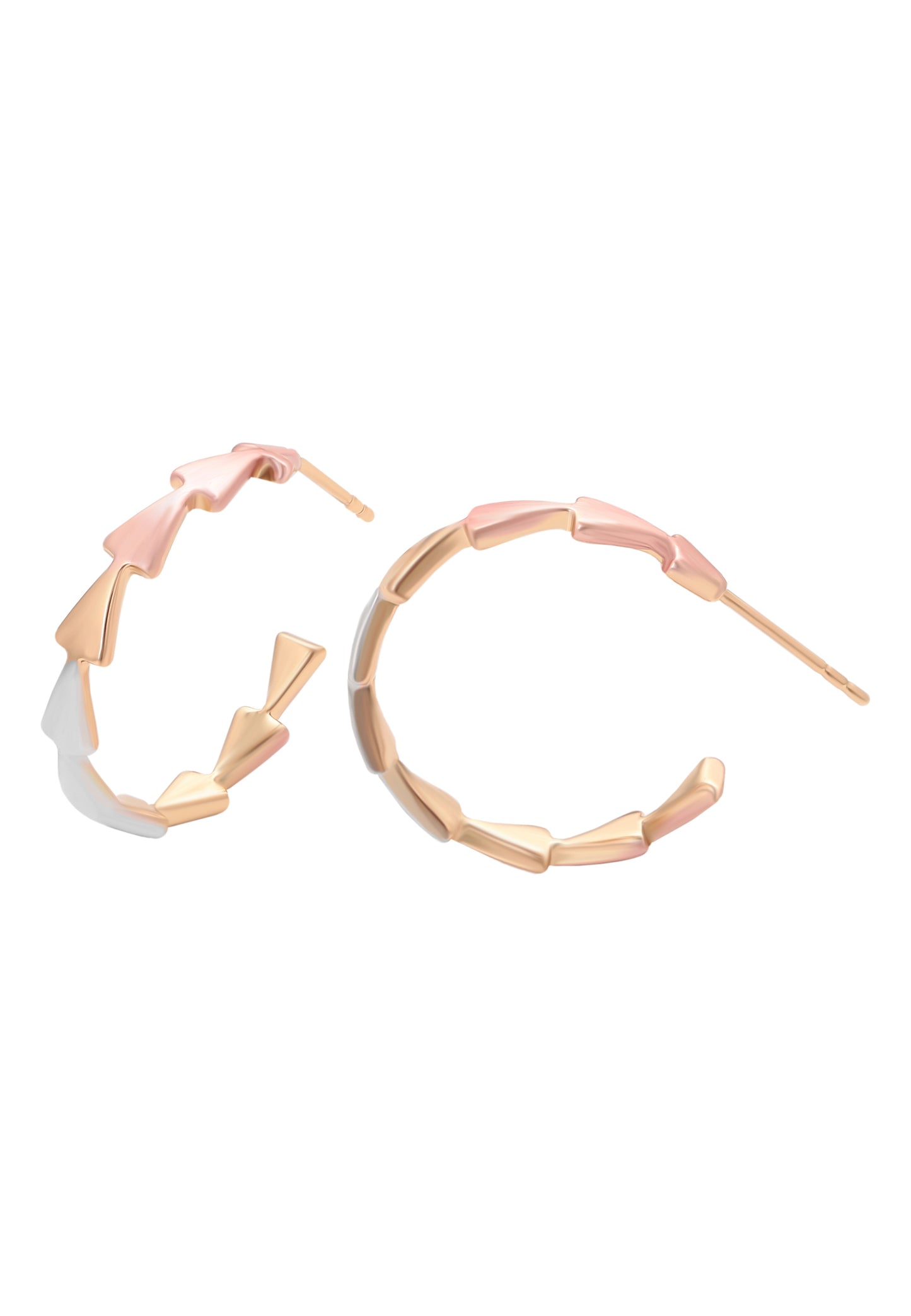 faina Women's Earrings