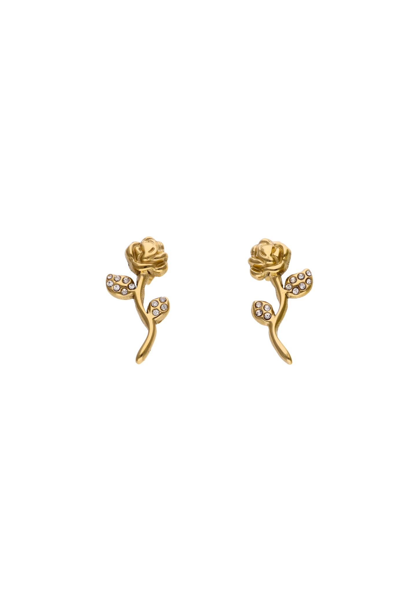 faina Women's Earrings