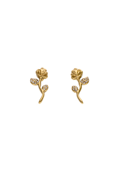 faina Women's Earrings