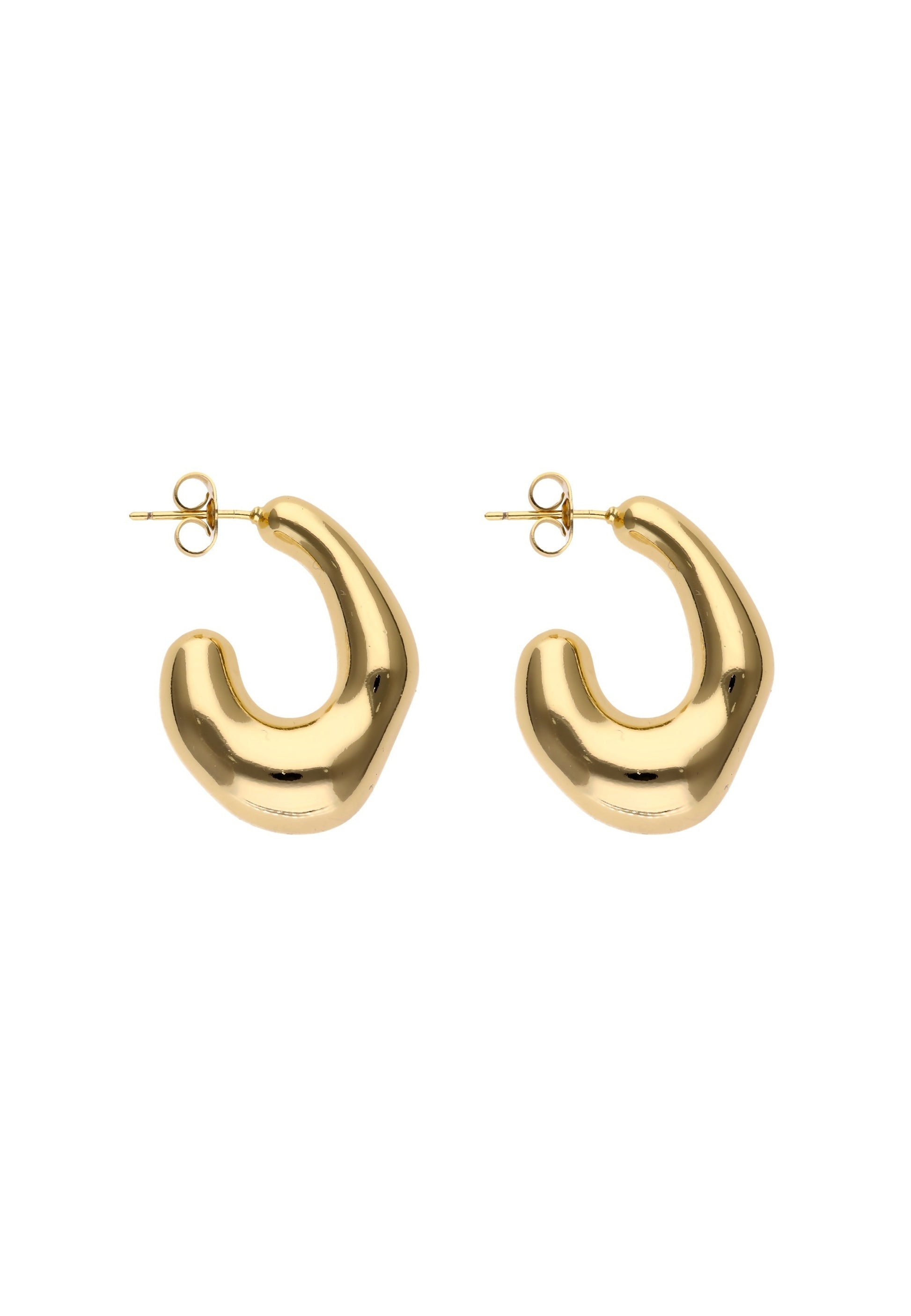 faina Women's Earrings