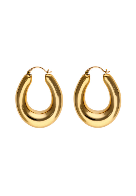 faina Women's Earrings