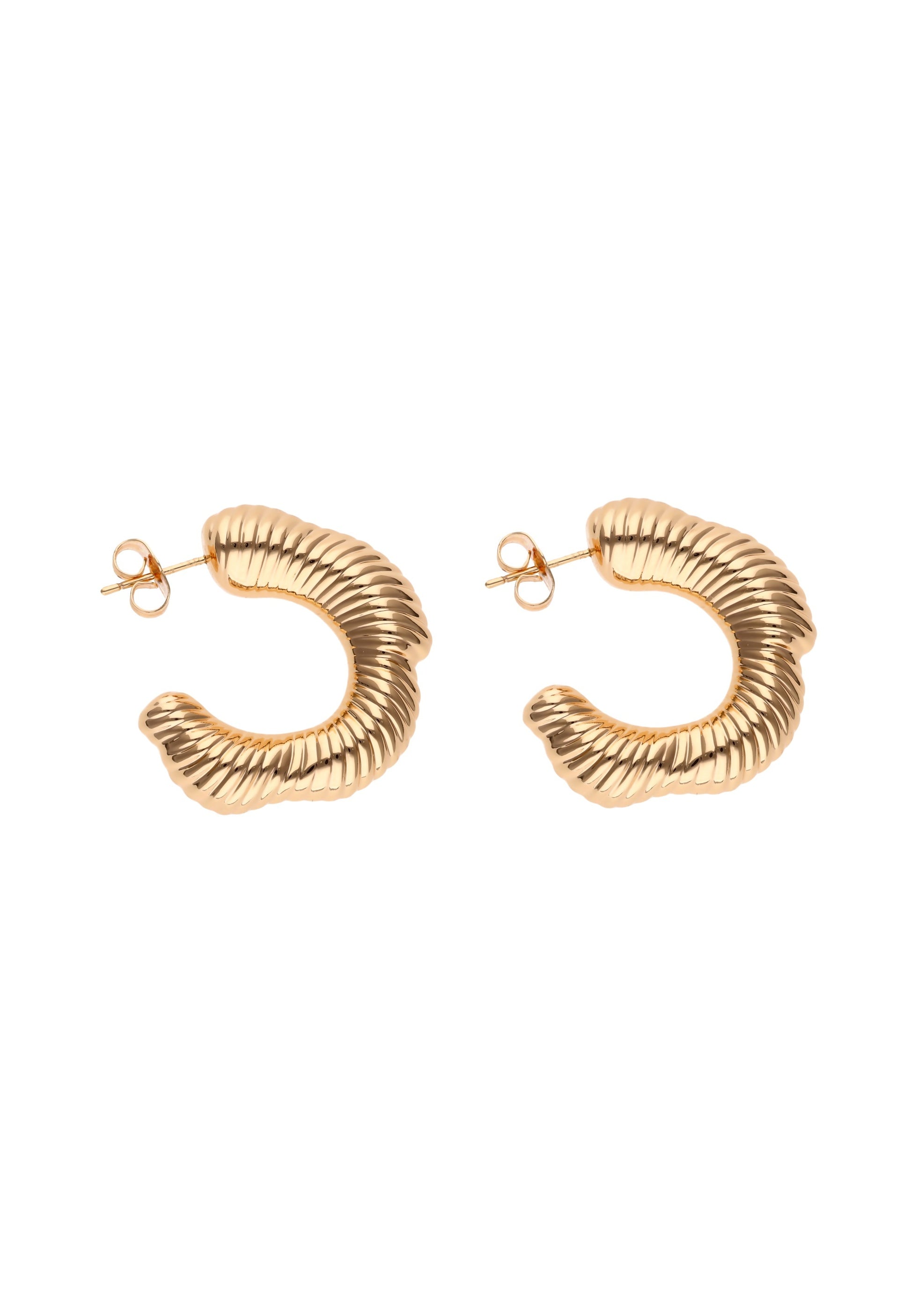 faina Women's Earrings