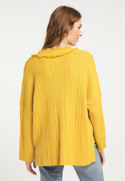 Usha festival Women's Knitted Sweater